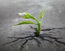 農(nóng)業(yè)的科學(xué)發(fā)展離不開(kāi)土壤分析儀器